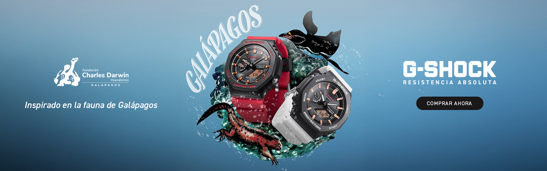 Banner Casio